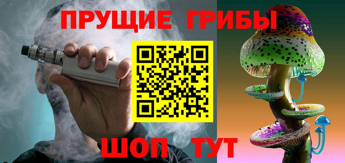 купить закладку  Псилоцибиновые грибы Magic Shrooms  Михайловск  Вход с VPN  Галлюциногенные грибы Cubensis 